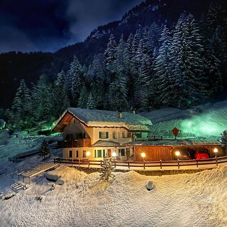 Appartamento Cesa Vedla - Quite And Cozy Alpine Escape Ortisei Esterno foto
