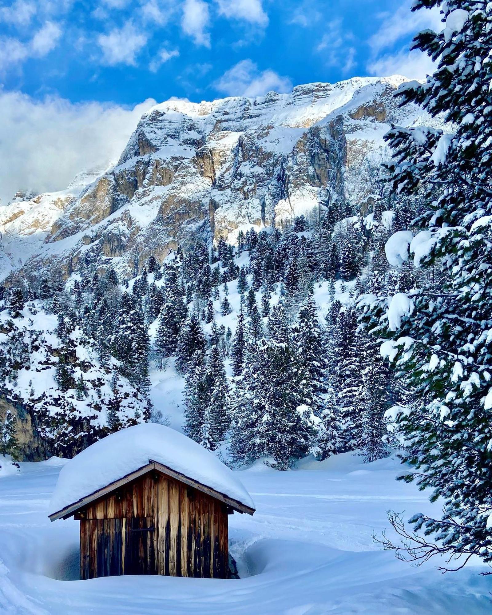 Appartamento Cesa Vedla - Quite And Cozy Alpine Escape Ortisei Esterno foto