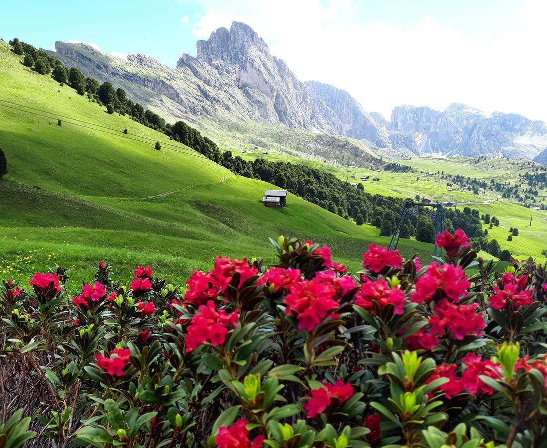 Appartamento Cesa Vedla - Quite And Cozy Alpine Escape Ortisei Esterno foto